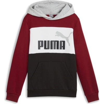 Puma Ess Block Hoodie FL B 67971713