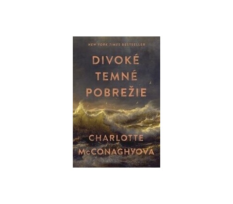 Divoké temné pobrežie