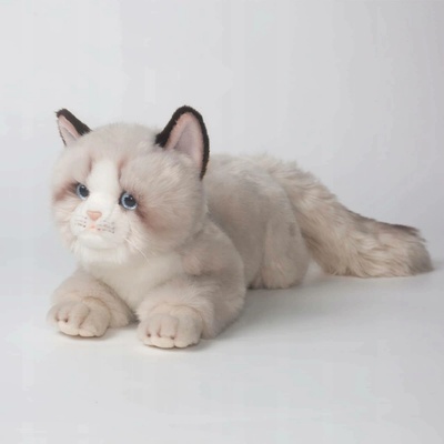 Šedá Ragdoll Kočka Roztomilá Realistická Reprodukce 50 cm
