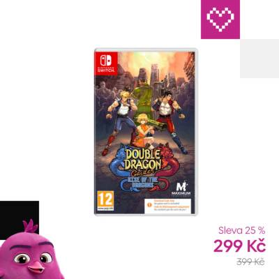 Double Dragon Gaiden: Rise of the Dragons