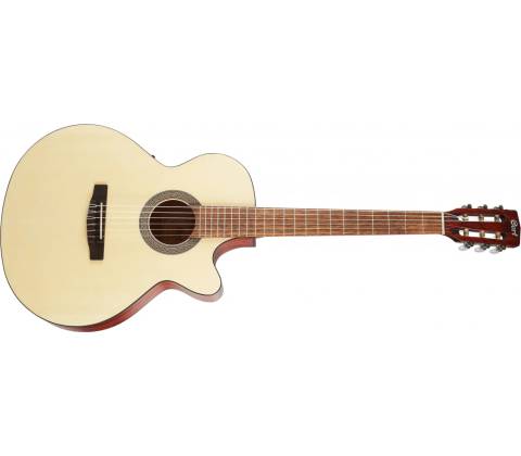 Cort CEC-1