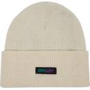 Oakley B1B Gradient Patch beanie mist