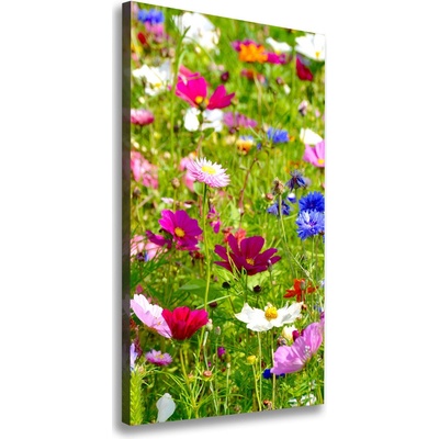 Vertikálny foto obraz canvas Poľné kvety 50x100 cm