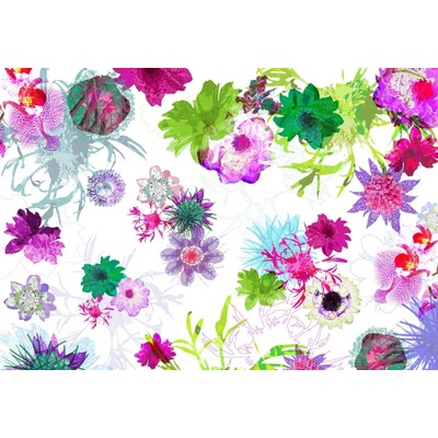 Komar 8-911 Fototapeta květiny Fleurs de Paris Rozměr 368 x 254 cm