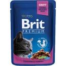 Brit Premium Cat Chicken & Turkey 24 x 100 g