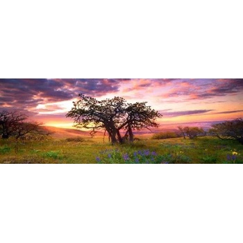 Heye - Puzzle Humboldt: Dub, Columbia Hills State Park - 2 000 piese