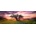 Heye - Puzzle Humboldt: Dub, Columbia Hills State Park - 2 000 piese