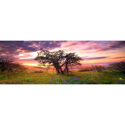 Heye - Puzzle Humboldt: Dub, Columbia Hills State Park - 2 000 piese