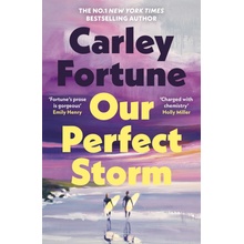 Our Perfect Storm