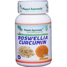 Planet Ayurveda Boswellia-Curcumin extrakt 10:1 500 mg 60 kapslí