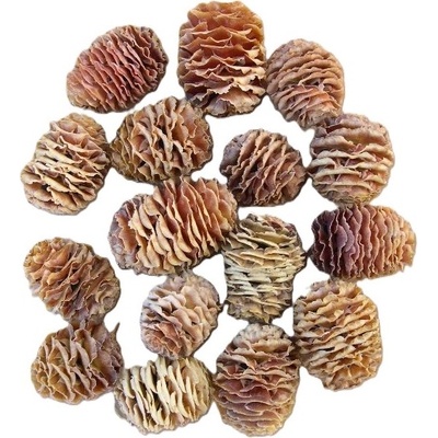 Dekorativní šišky, Strictum cones cream, 500 g