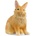 Schleich Schleich: фигурка на заек с глава на лъв 13974