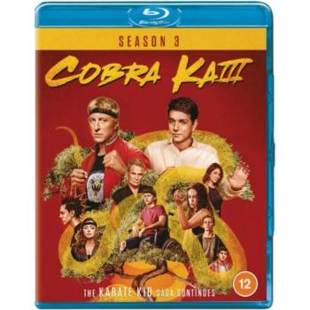 Cobra Kai Season BD