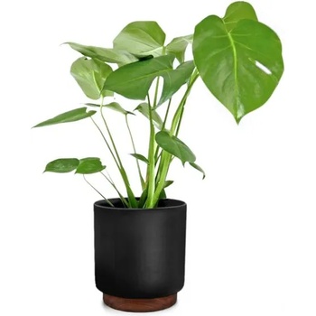 Image 1 of Blumfeldt Enspijk M (PP-WOODBASE-M)