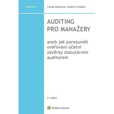 Auditing pro manažery