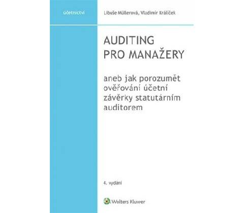 Auditing pro manažery
