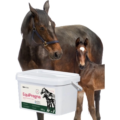Lab-v EquiPregna Допълнителна хранителна смес за бременни и кърмещи кобили, подпомагаща бременността, развитието на плода и производството на мляко 2000 г