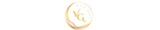 Logo ViziaGold.bg
