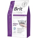Brit VD Cat GF gastrointestinal 2 kg