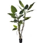 Bizzotto Изкуствено цвете (височина 190 cm) Alocasia - Bizzotto (0173038)