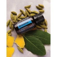 DoTerra Air 15 ml