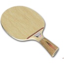 Donic Waldner Dotec AR