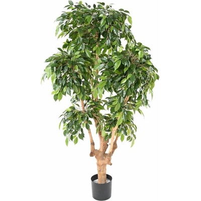 Umelý strom Fíkus Nataša, 170cm