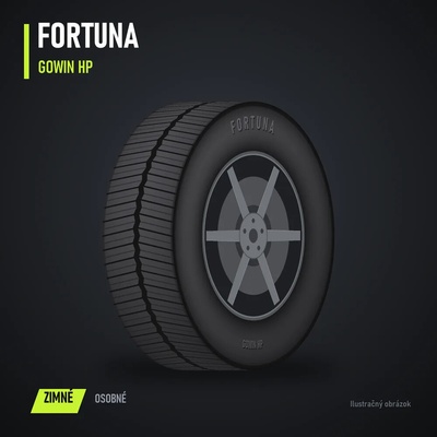 Fortuna Gowin HP 205/65 R15 94H