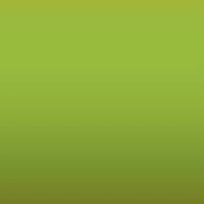 SMART EAQ LIME GREEN farba nariedená, lakovateľná, 1 liter