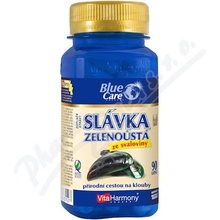 VitaHarmony Slávka zelenoústa 540 mg 90 tabliet