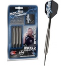 Target Steel Power Silverlight Phil Taylor 24 g