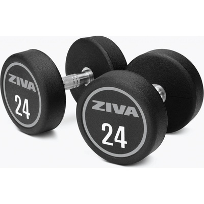 Ziva XP Urethane Dumbbell 30 kg jednoruční činka pár