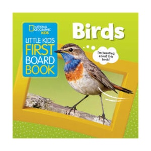 Little Kids First Board Book: Birds | Ruth Musgrave (2022)