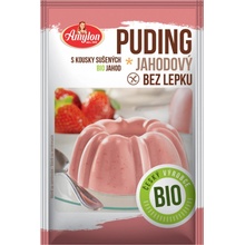 Amylon Puding Jahodový bez lepku Bio 40 g