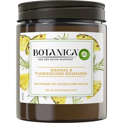 Air Wick Botanica Fresh Pineapple & Tunisian Rosemary 205 g