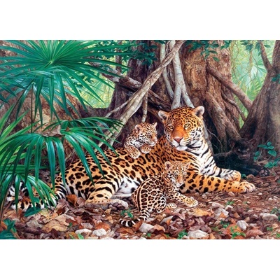 Castorland Jaguáři v džungli 3000 dílků