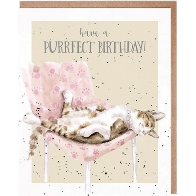 Narozeninové přání "Tabby Birthday" - Kočka