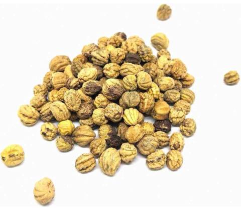 Grešík Lichořeřišnice semeno 1 kg