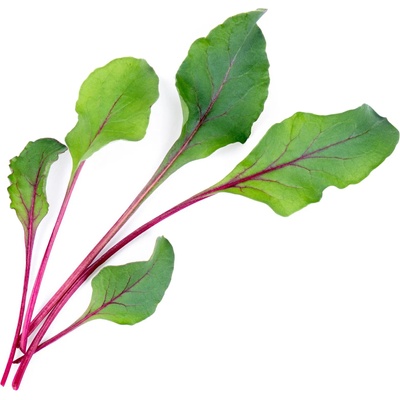 VÉritable (Франция) Пълнител (лингот) Beet Greens Organic за настолна градина Véritable® - листа цвекло (VLIN-J10-Bet022)