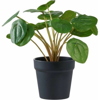 Umelá rastlina (výška 28 cm) Pelia – House Nordic