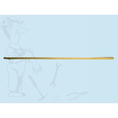 TOPTRADE násada na železné hrábě 28 mm, 170 cm