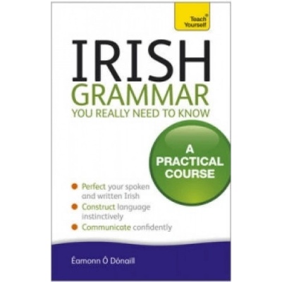 Teach Yourself Irish Grammar You Really Need to Know
