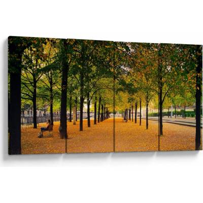 Obraz aleje podzimních stromů, Čtyřdílný 160x80 cm