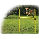 Dog Fantasy Agility set překážek - komplet 100 x 116 cm 2ks