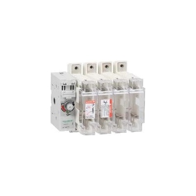 Schneider Electric GS2NG4 Pojistkový odpínač 4P 250A Velikost 1 – Hledejceny.cz