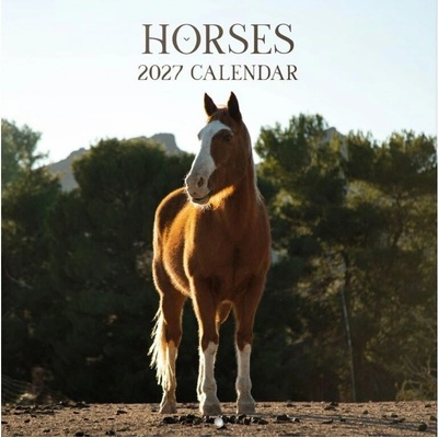 Grupo Erik Horses Nástěnný 2026/2027