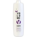 Compagnia Del Colore Volume šampón na objem vlasov 1000 ml