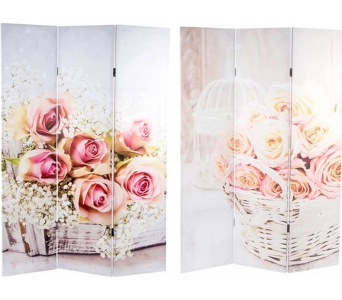 Paravan ROSES