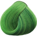 Black Glam Colors zelené Mojito 100 ml