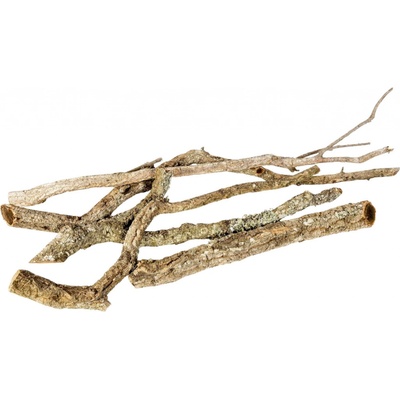 Invital Korkové větve 30-40 x 2-5 cm – Zboží Dáma